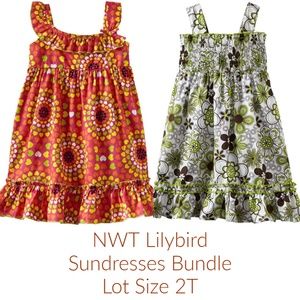 Lulybird Girls Smocked Ruffle Sundress Clothes Dress Lot Floral size 2T NWT
